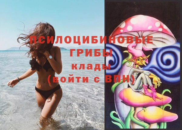 прущая мука Пестово