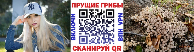 Псилоцибиновые грибы Magic Shrooms  где можно купить   дарк нет какой сайт  Великий Новгород 