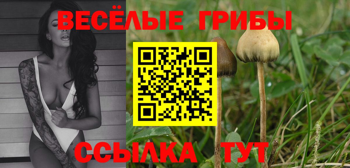 Галлюциногенные грибы мухоморы Великий Новгород