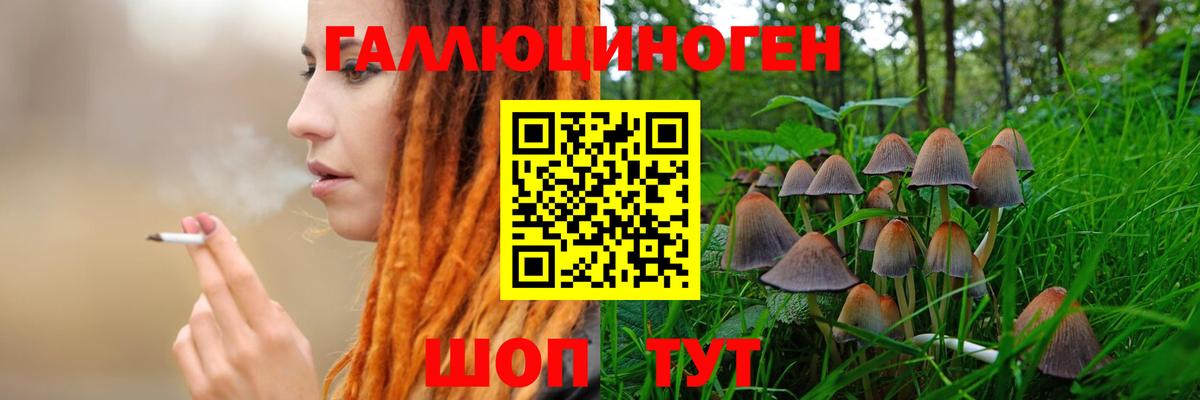 Великий Новгород  Псилоцибиновые грибы мухоморы  Вход с VPN 